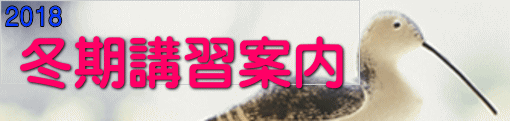 冬期講習案内