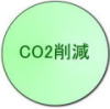 CO2팸