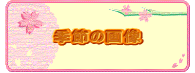 季節の画像