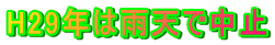 H29N͉JVŒ~