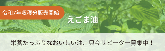 えごま油。令和7年収穫分販売開始。栄養たっぷりなおいしい油、只今リピーター募集中！