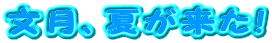 ```E```EE