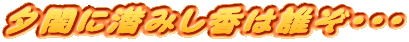[łɐ݂͒NEEE
