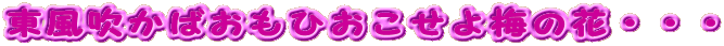 Yꂽ̂EEE~