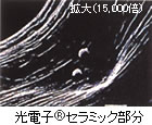 dqiR)Z~bN