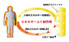 GlM[ӂˍp